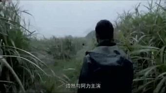 电影《圈儿》在线观看,揭秘都市生活背后的情感漩涡 第3张 电影《圈儿》在线观看,揭秘都市生活背后的情感漩涡 第3张