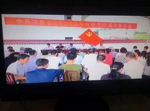 洋县新闻事件爆料,揭秘背后真相与影响 第1张 洋县新闻事件爆料,揭秘背后真相与影响 第1张